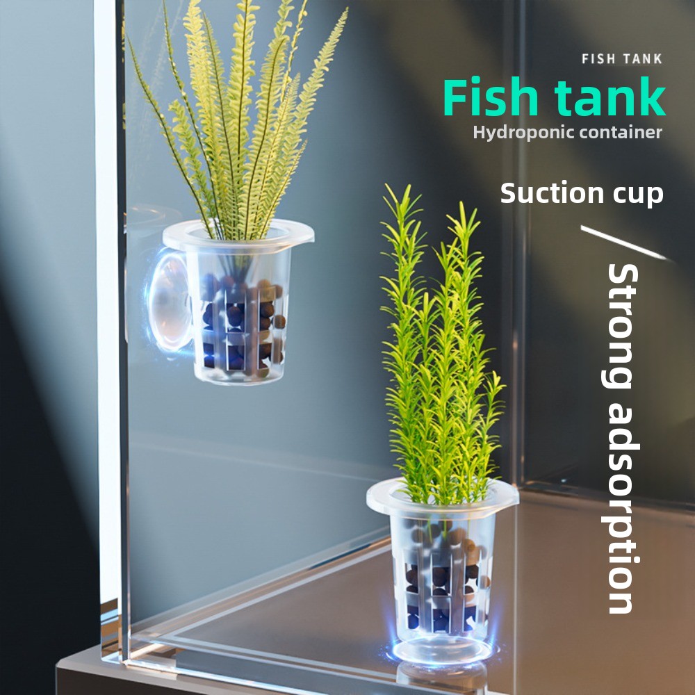 Aquarium Plants Live - 10 قطع من أواني الزراعة المائية