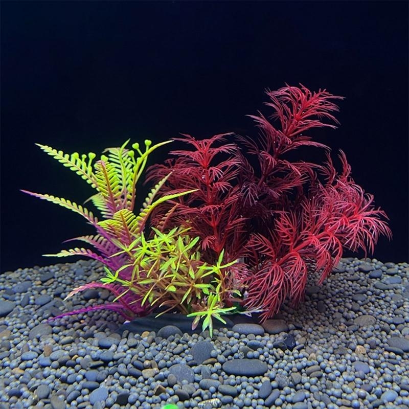 Live Plant Aquarium - حوض السمك الاصطناعي الديكور نبات الأسماك