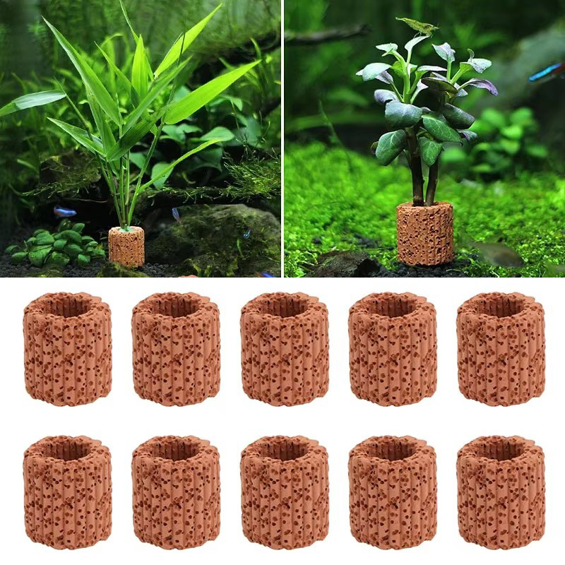Aquarium Plants Live - حلقة ثابتة للنباتات المائية لحوض السمك