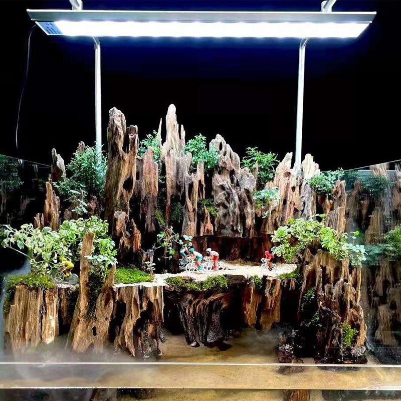 Aquarium Driftwood - ديكور خشبي لحوض السمك، خشب طافي