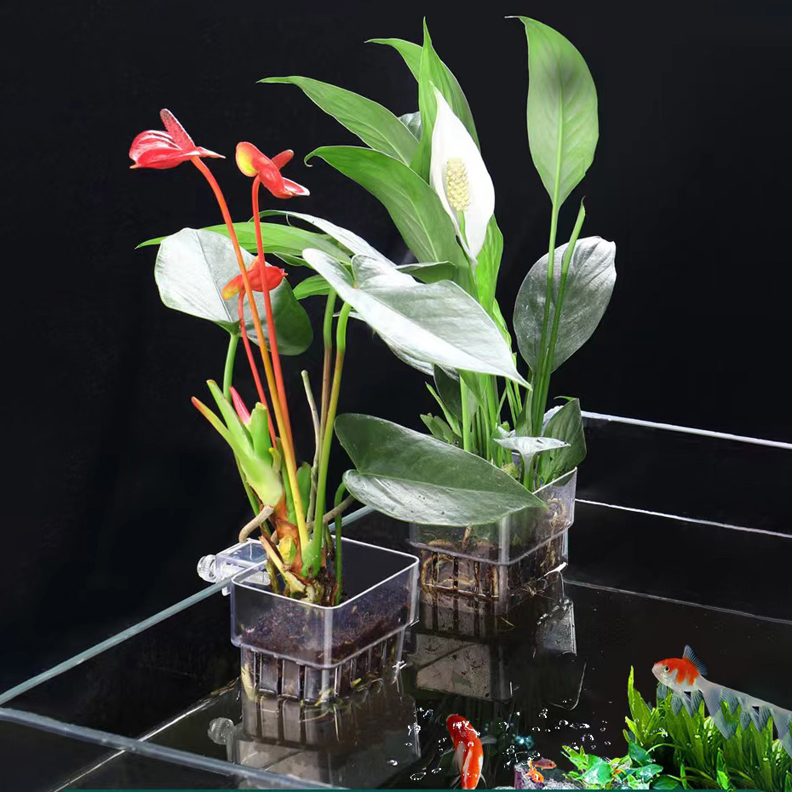 Aquarium Plant Holder - حامل نباتات أكريليك شفاف، سلة زراعة