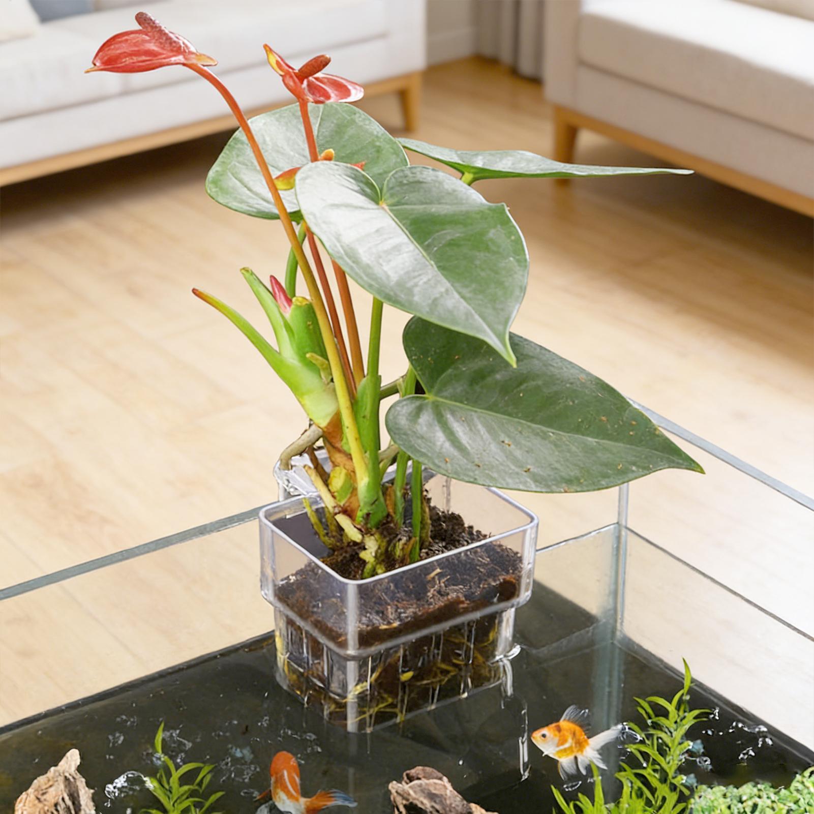 Plant Aquarium Pot - سلة نباتات للأحواض المائية، وعاء زينة