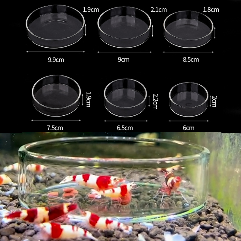 Aquarium Fertilizer - طبق تغذية الروبيان طبق تغذية زجاجي