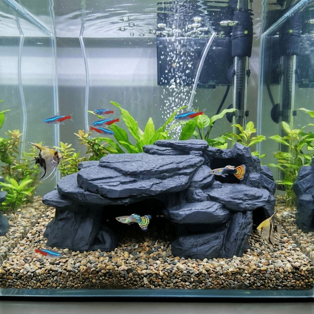 زينة صخرية ثلاثية الأبعاد لأحو - مراجعة Aquarium Driftwood وسعره