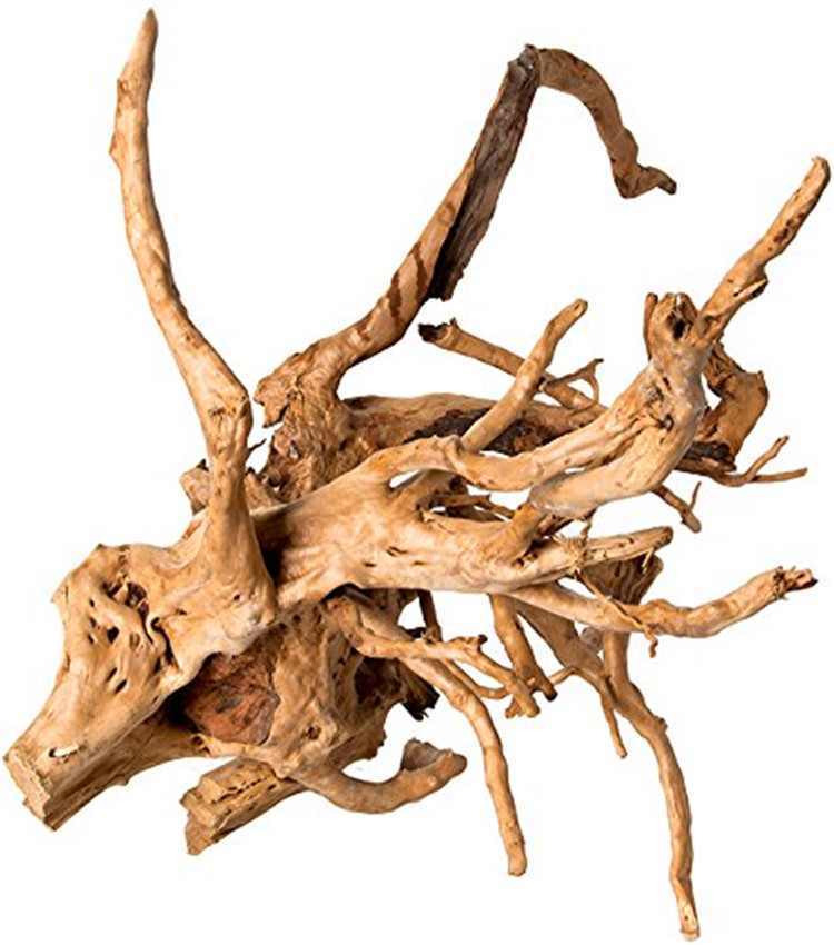 خشب طبيعي مصقول لتزيين أحواض ا - مراجعة Aquarium Driftwood وسعره