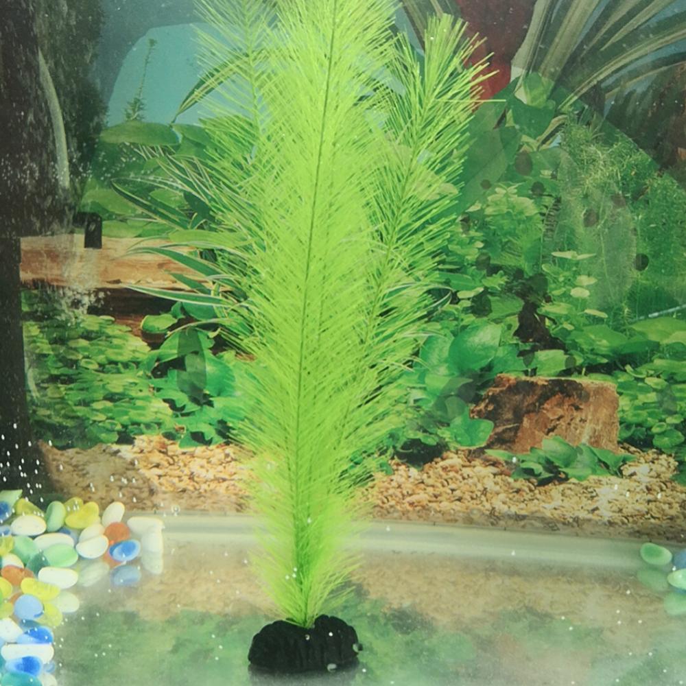 1/3 قطعة 28/40 سنتيمتر حوض للأ - مراجعة Aquarium Plants Live وسعره