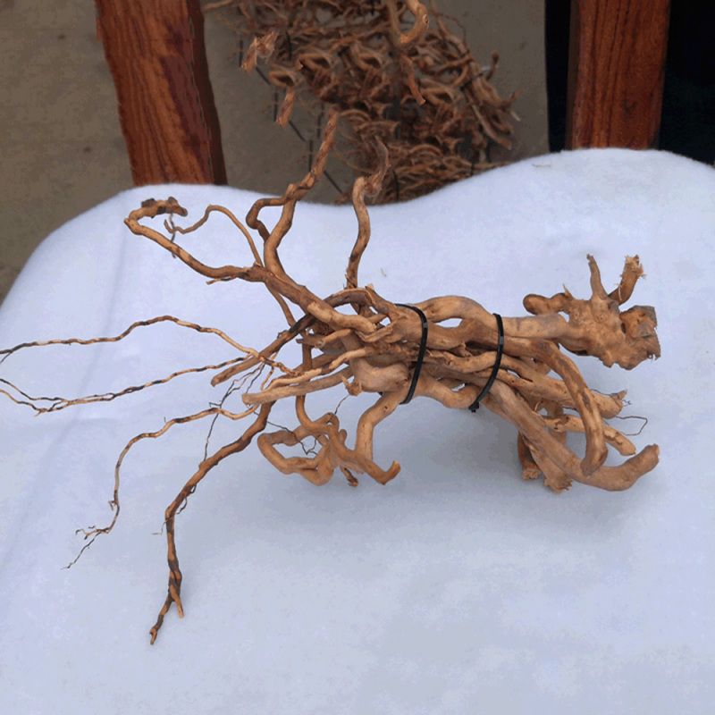 جذع شجرة طبيعي من الخشب العائم - مراجعة Aquarium Driftwood وسعره