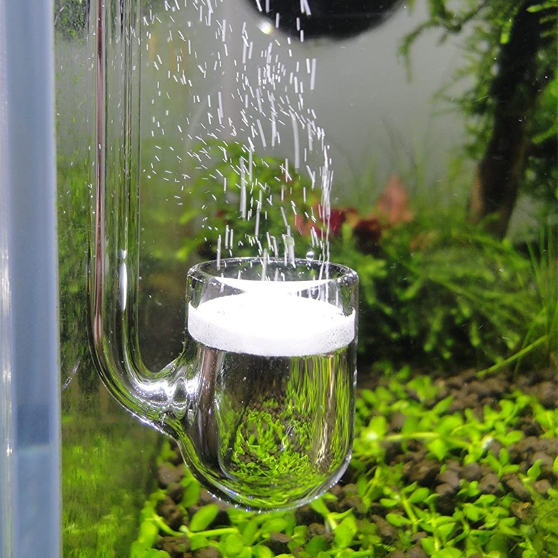 D0AD زجاج ثاني أكسيد الكربون ا - مراجعة Aquarium Liquid Carbon وسعره
