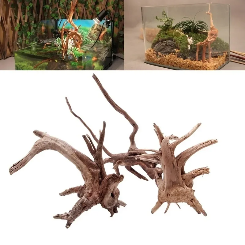 شجرة طبيعية جذع Driftwood لحوض - مراجعة Aquarium Driftwood وسعره