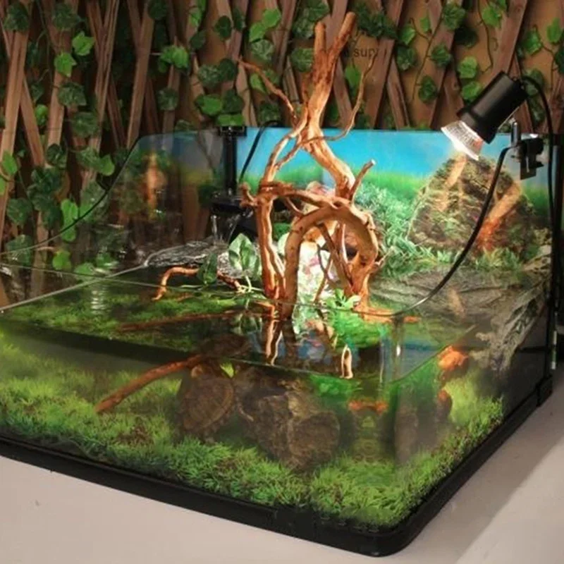 شجرة طبيعية جذع Driftwood لحوض - مراجعة Aquarium Driftwood وسعره