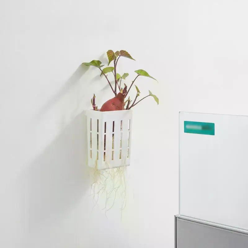1 قطعة سلة دعم للزراعة المائية - مراجعة Plant Aquarium Pot وسعره