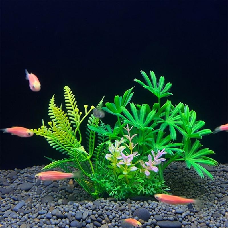 حوض السمك الاصطناعي الديكور نب - مراجعة Live Plant Aquarium وسعره
