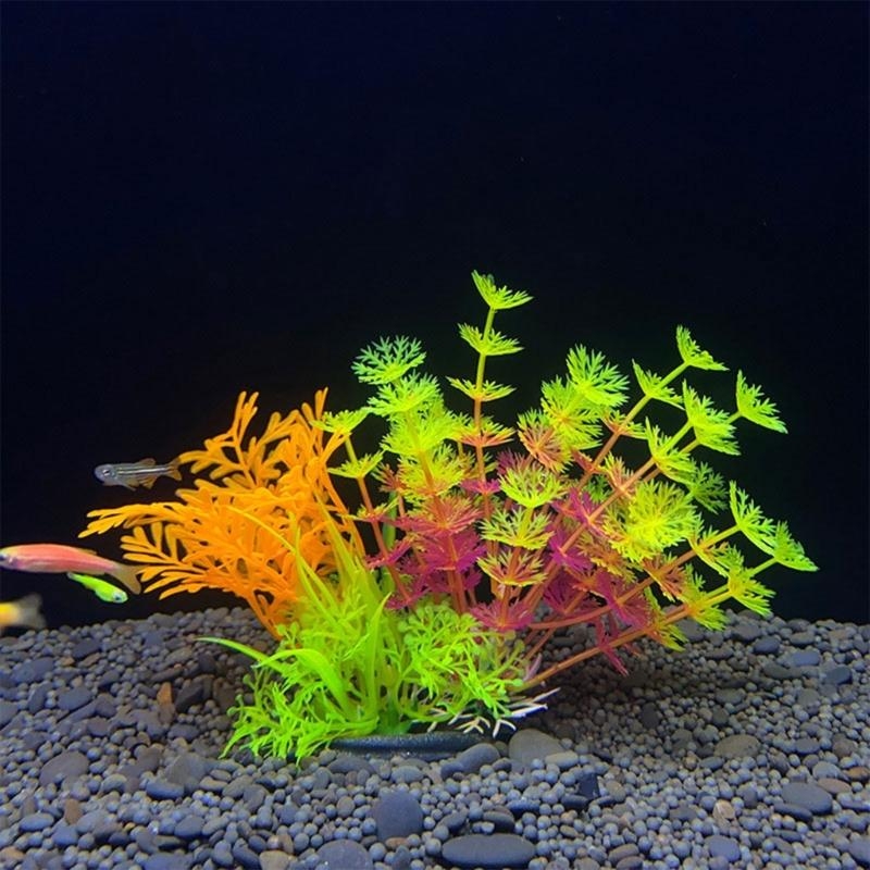 حوض السمك الاصطناعي الديكور نب - مراجعة Live Plant Aquarium وسعره