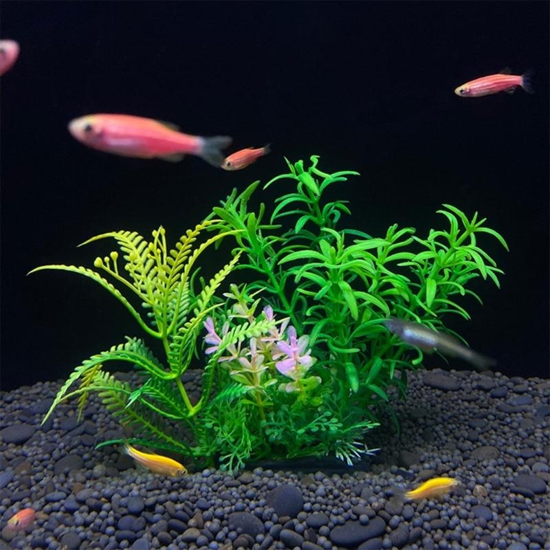 حوض السمك الاصطناعي الديكور نب - مراجعة Live Plant Aquarium وسعره