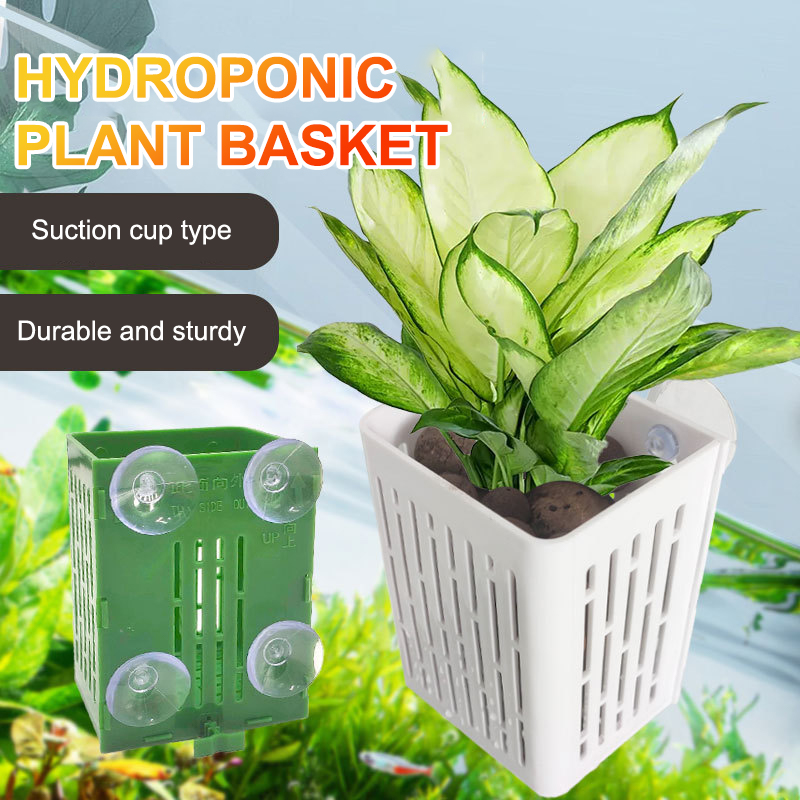 معلقة شفط كأس هوك حامل نبات حو - مراجعة Plant Aquarium Pot وسعره