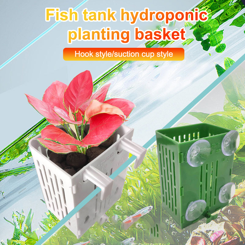 معلقة شفط كأس هوك حامل نبات حو - مراجعة Plant Aquarium Pot وسعره