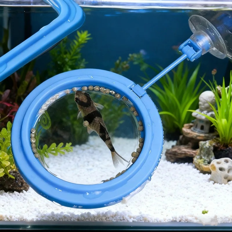 حلقة تغذية حوض السمك، صينية طع - مراجعة Aquarium Fertilizer وسعره