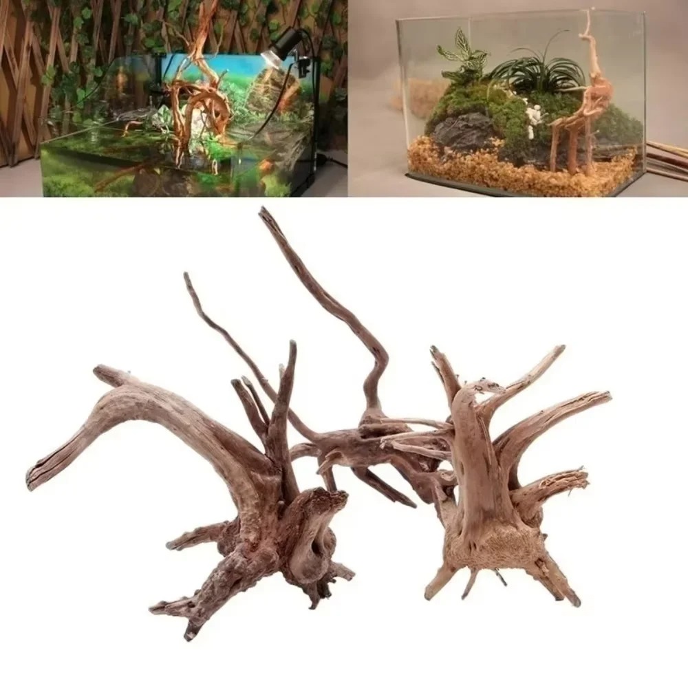ديكور حوض السمك من الخشب الطبي - مراجعة Aquarium Driftwood وسعره