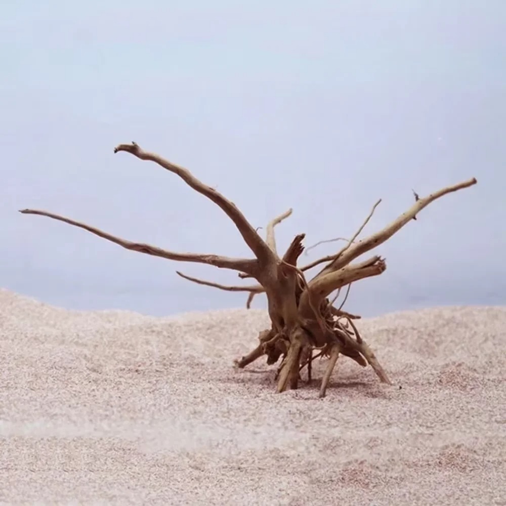 ديكور حوض السمك من الخشب الطبي - مراجعة Aquarium Driftwood وسعره