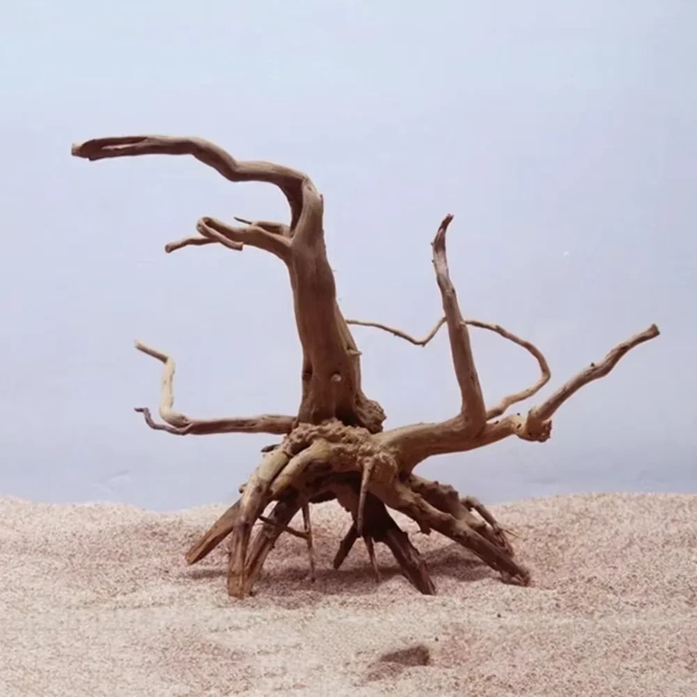 ديكور حوض السمك من الخشب الطبي - مراجعة Aquarium Driftwood وسعره