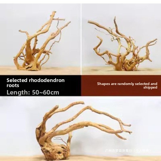أغصان خشب طبيعية لتزيين أحواض  - مراجعة Aquarium Driftwood وسعره
