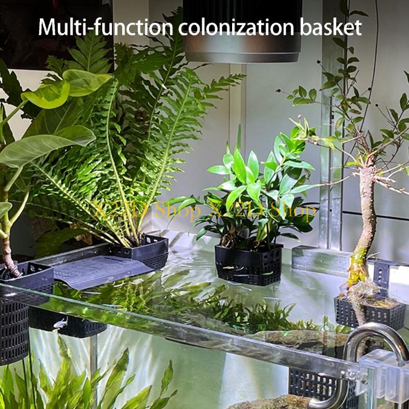X22D الأنماط القديمة الحديثة ح - مراجعة Plant Aquarium Pot وسعره