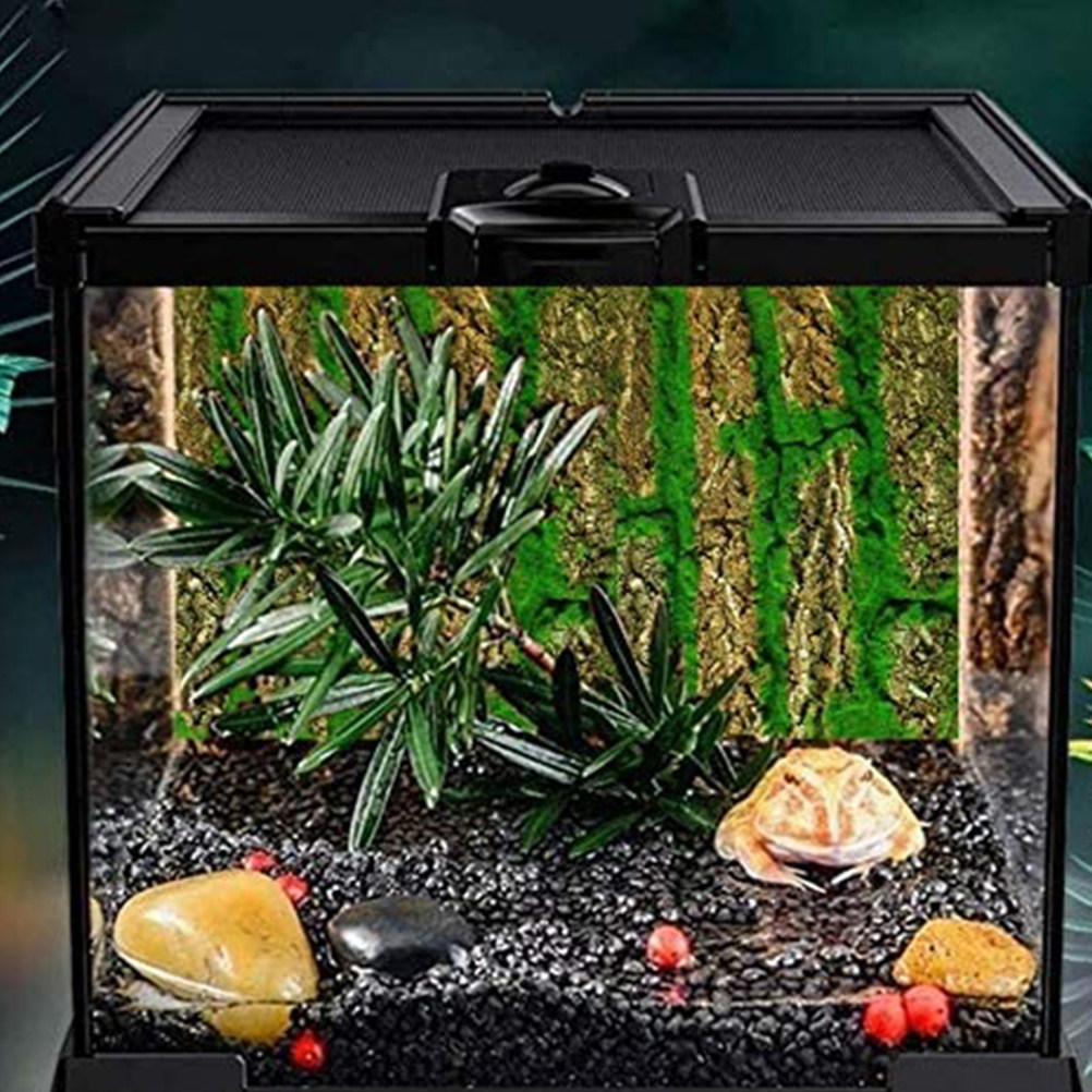 لوحة خلفية ثلاثية الأبعاد لأحو - مراجعة Aquarium Moss وسعره