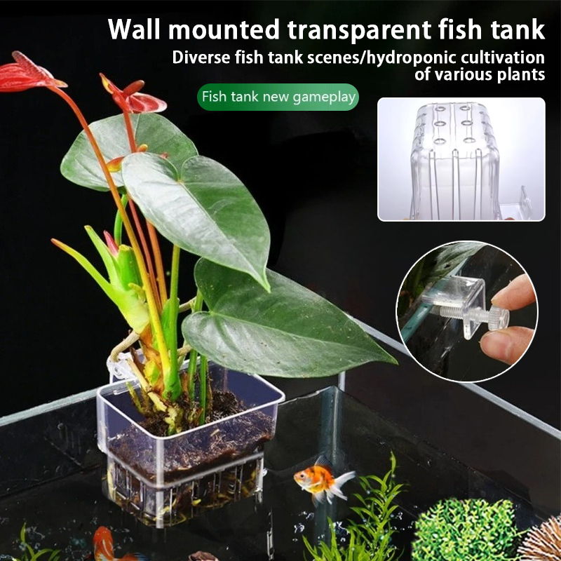 أكواب زرع معلقة للأحواض المائي - مراجعة Plant Aquarium Pot وسعره