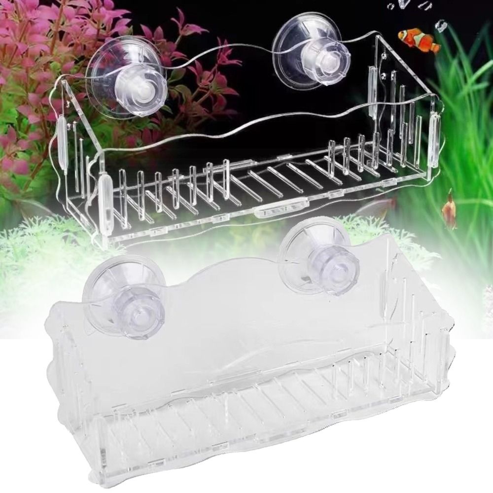 وعاء نباتات مائية أكريليك شفاف - مراجعة Plant Aquarium Pot وسعره