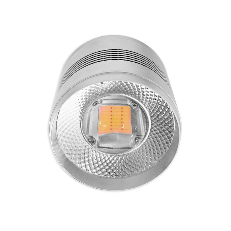 إضاءة LED بقوة 70 واط لأحواض ا - مراجعة Planted Aquarium Algae Control وسعره