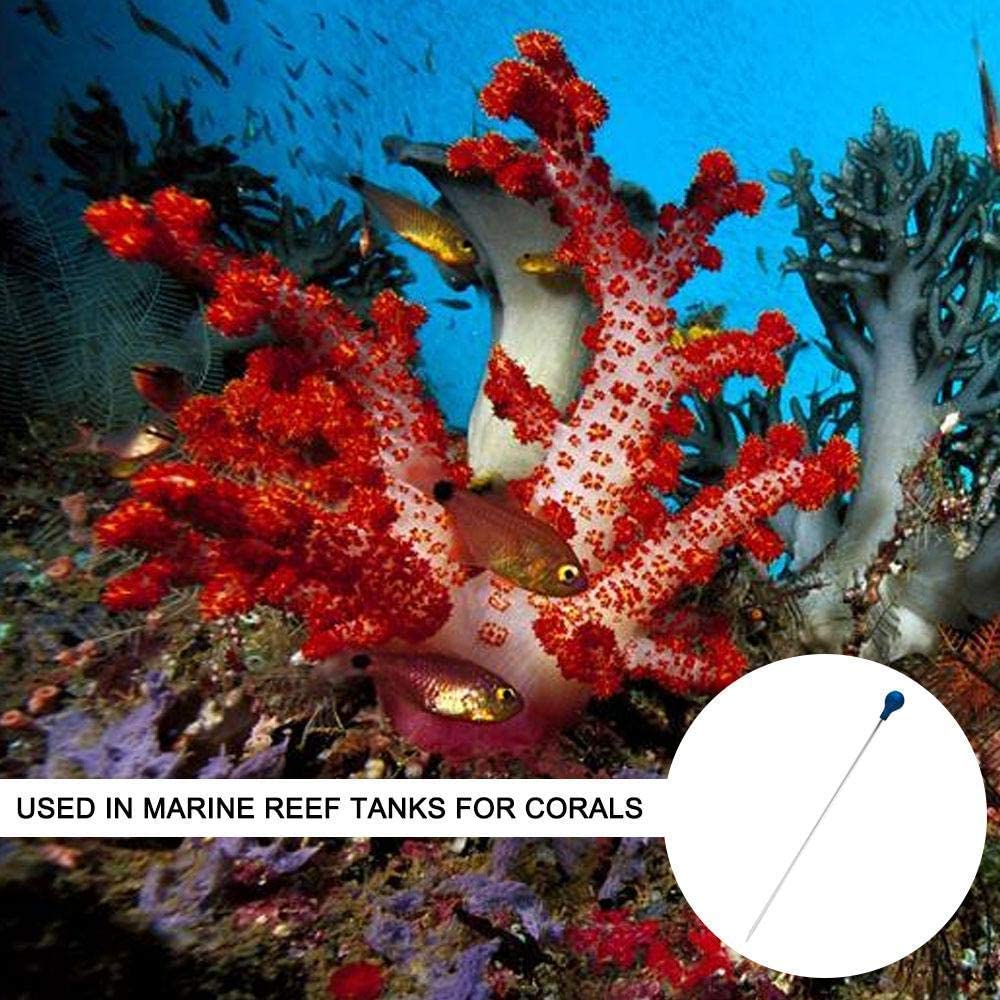 55 سنتيمتر المرجان المغذية SPS - مراجعة Aquarium Fertilizer وسعره