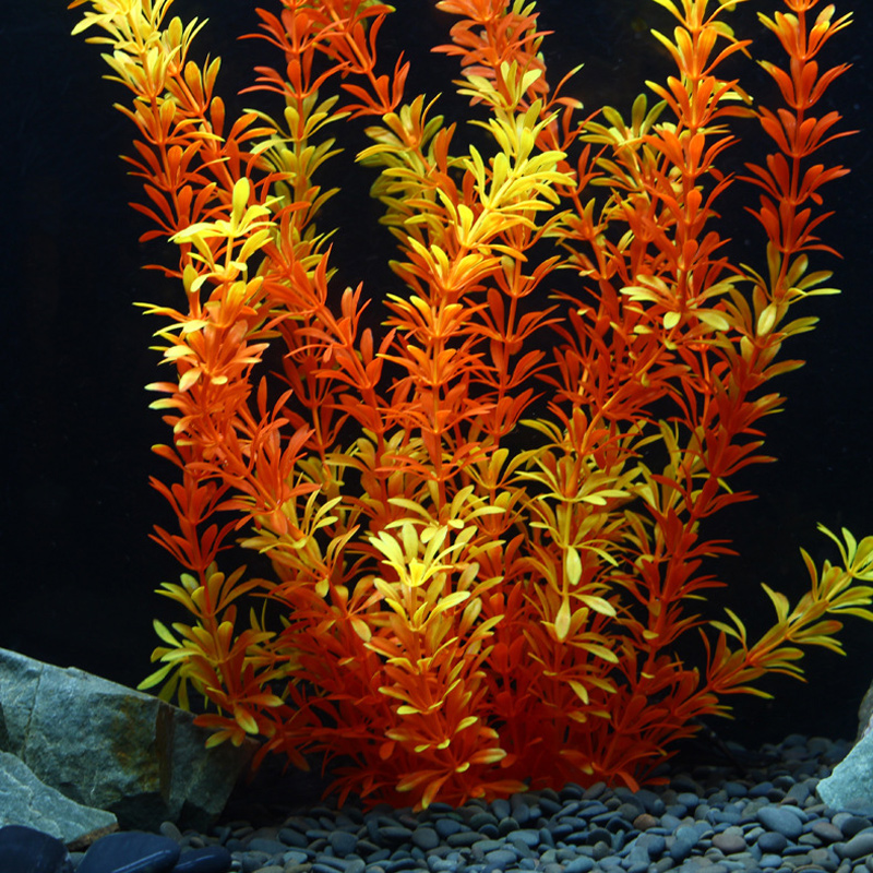 نباتات استوائية اصطناعية بطول  - مراجعة Aquarium Moss وسعره