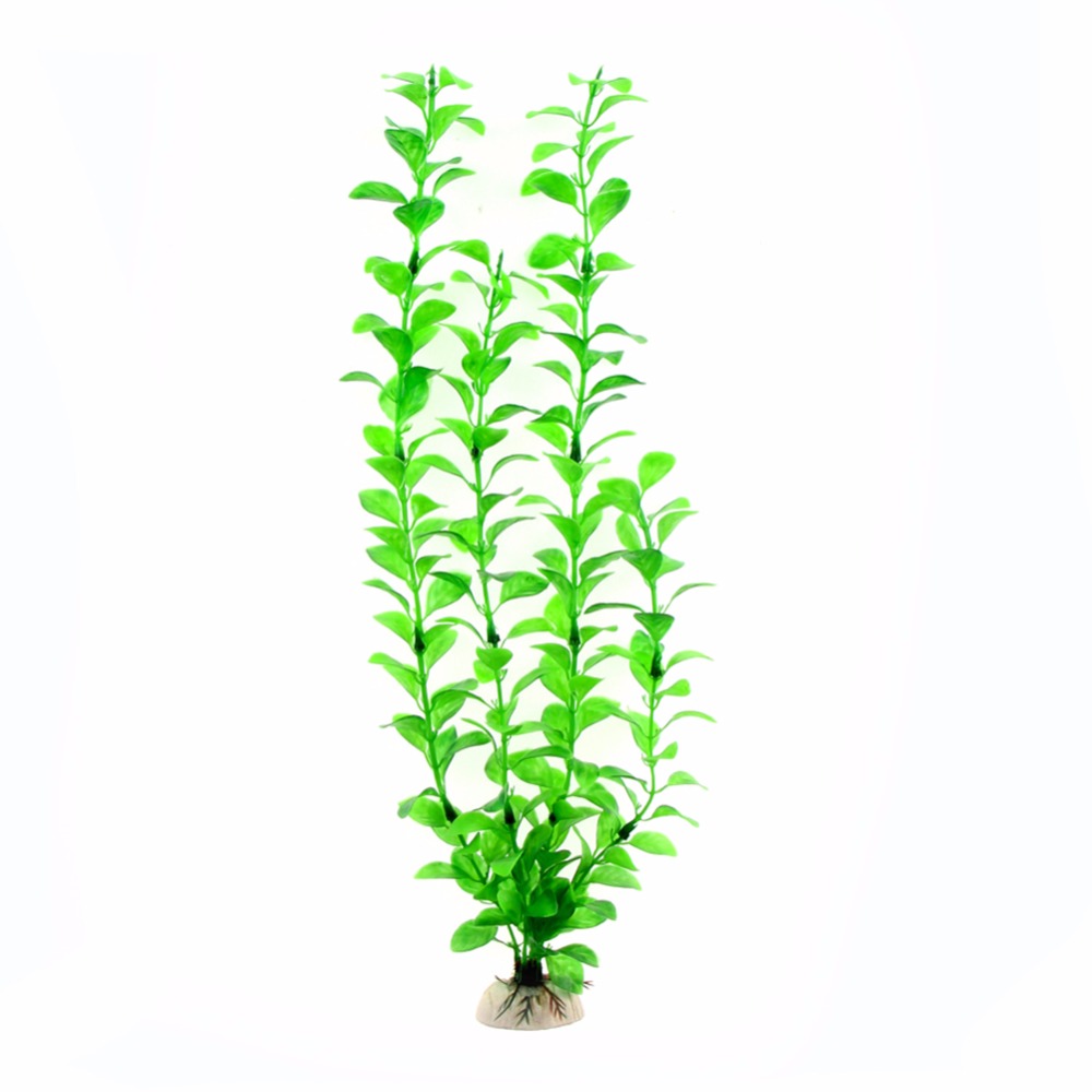 إكسسوارات حوض السمك، نباتات اص - مراجعة Live Plant Aquarium وسعره