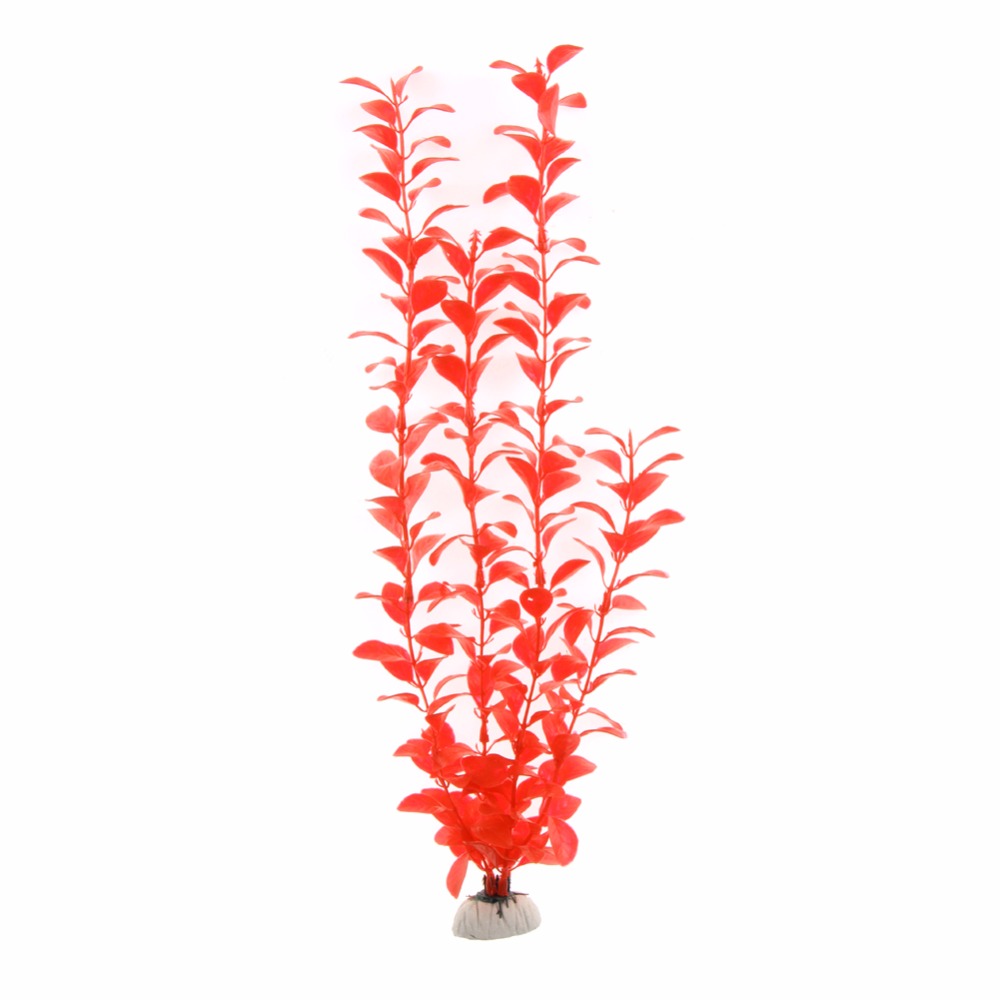 إكسسوارات حوض السمك، نباتات اص - مراجعة Live Plant Aquarium وسعره