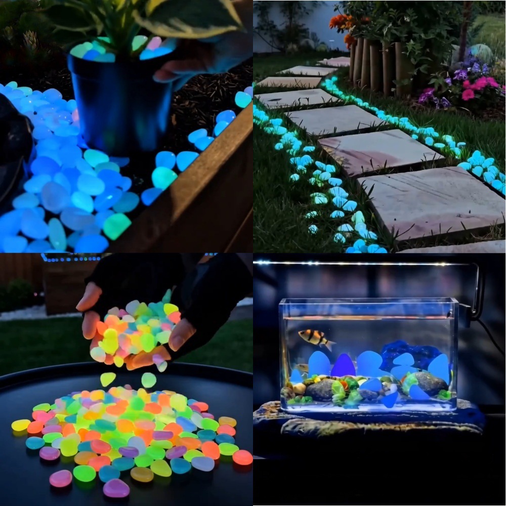 حصى ملونة مضيئة في الظلام لتزي - مراجعة Plant Aquarium Pot وسعره