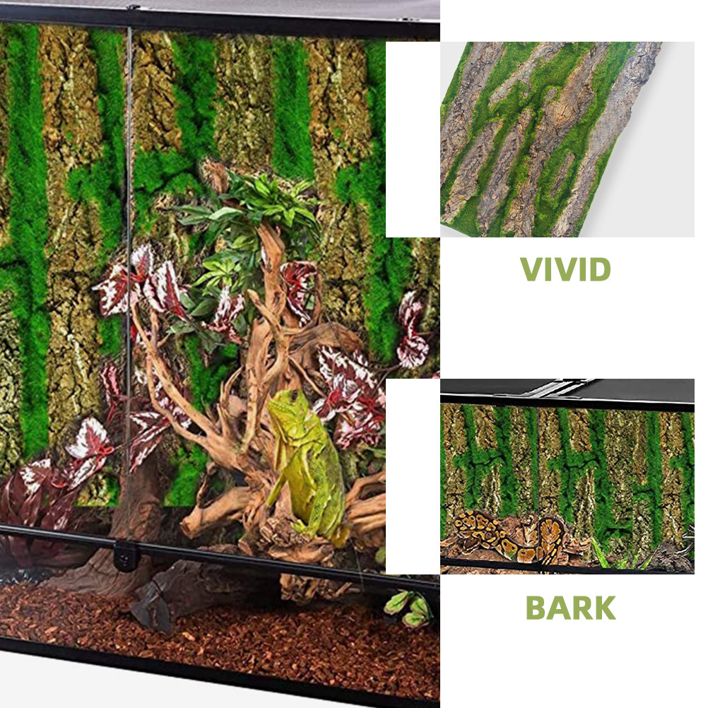 لوحة خلفية ثلاثية الأبعاد لأحو - مراجعة Aquarium Moss وسعره