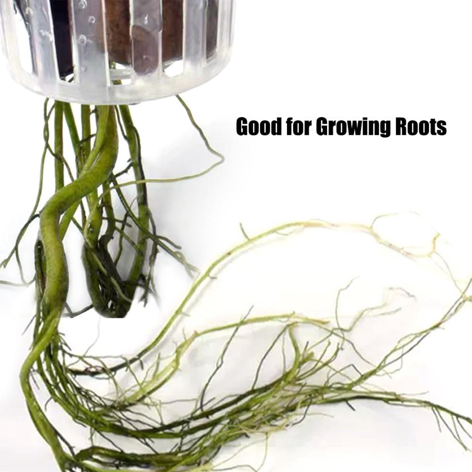 قطعتان من حامل النباتات المائي - مراجعة Plant Aquarium Pot وسعره