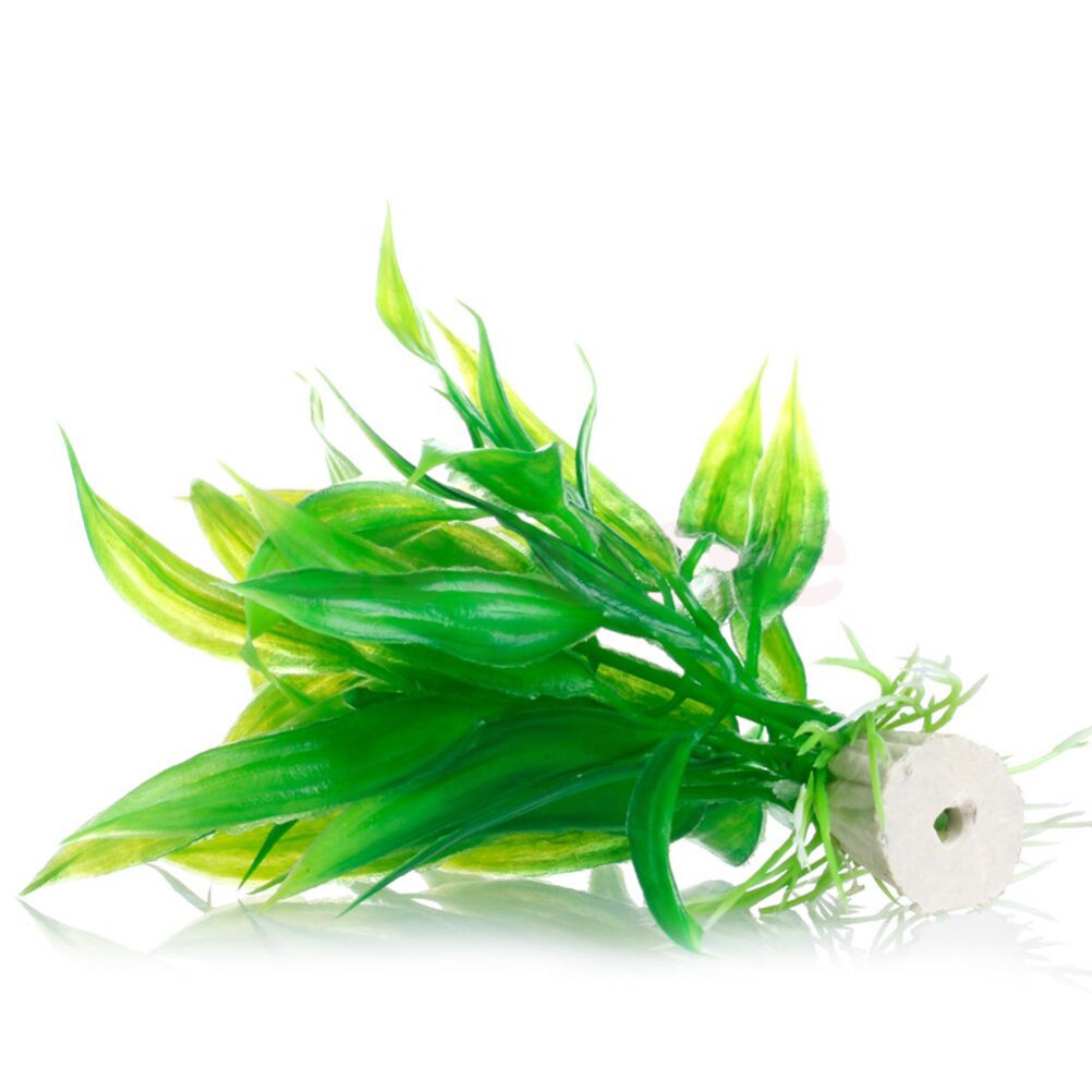 15 سنتيمتر حوض السمك الاصطناعي - مراجعة Live Plant Aquarium وسعره