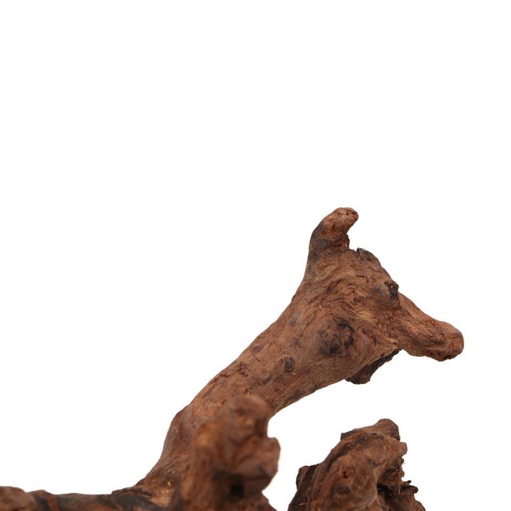 جذور شجرة الأناناس الطبيعية ال - مراجعة Aquarium Driftwood وسعره