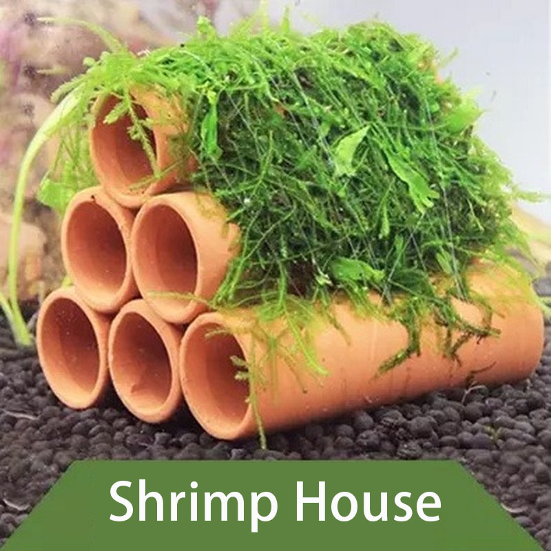الطين حوض السمك الديكور الأسما - مراجعة Aquarium Plants Live وسعره