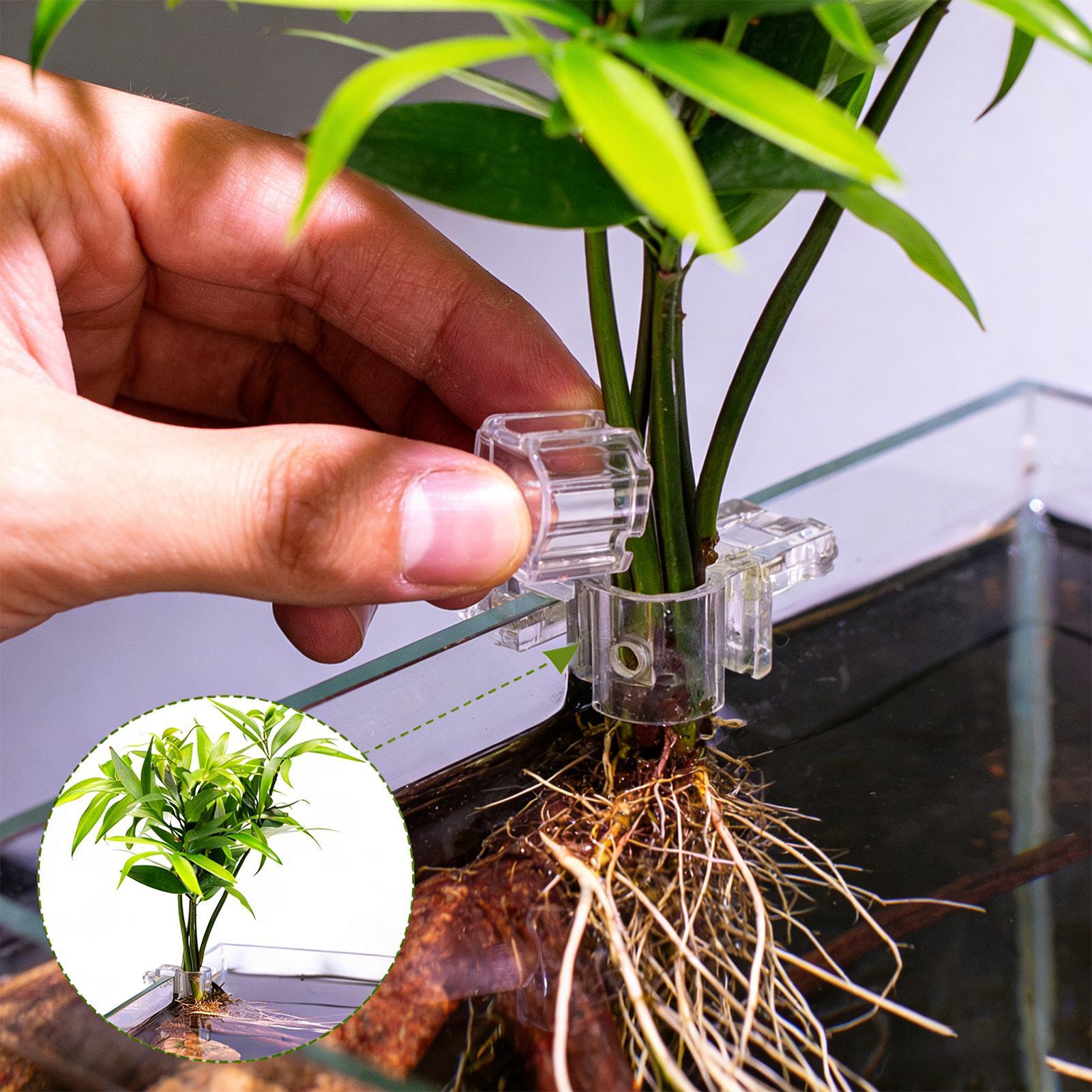 6 قطع حاملات نباتات للأحواض ال - مراجعة Aquarium Plants Live وسعره