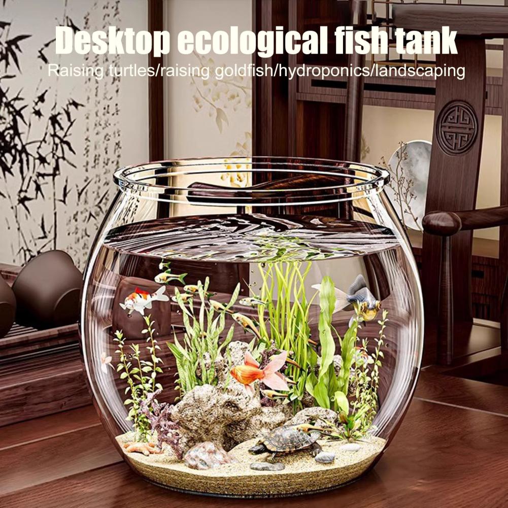 وعاء سمك مستدير من البلاستيك ا - مراجعة Plant Aquarium Pot وسعره