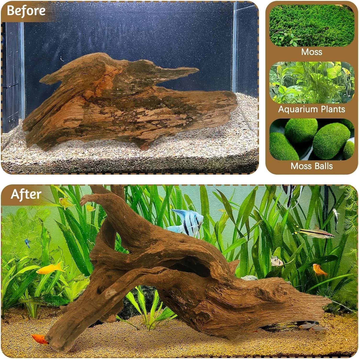 قطعة واحدة من الخشب الطبيعي ال - مراجعة Aquarium Driftwood وسعره