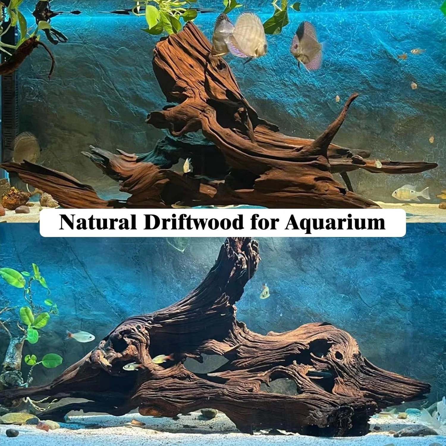 قطعة واحدة من الخشب الطبيعي ال - مراجعة Aquarium Driftwood وسعره