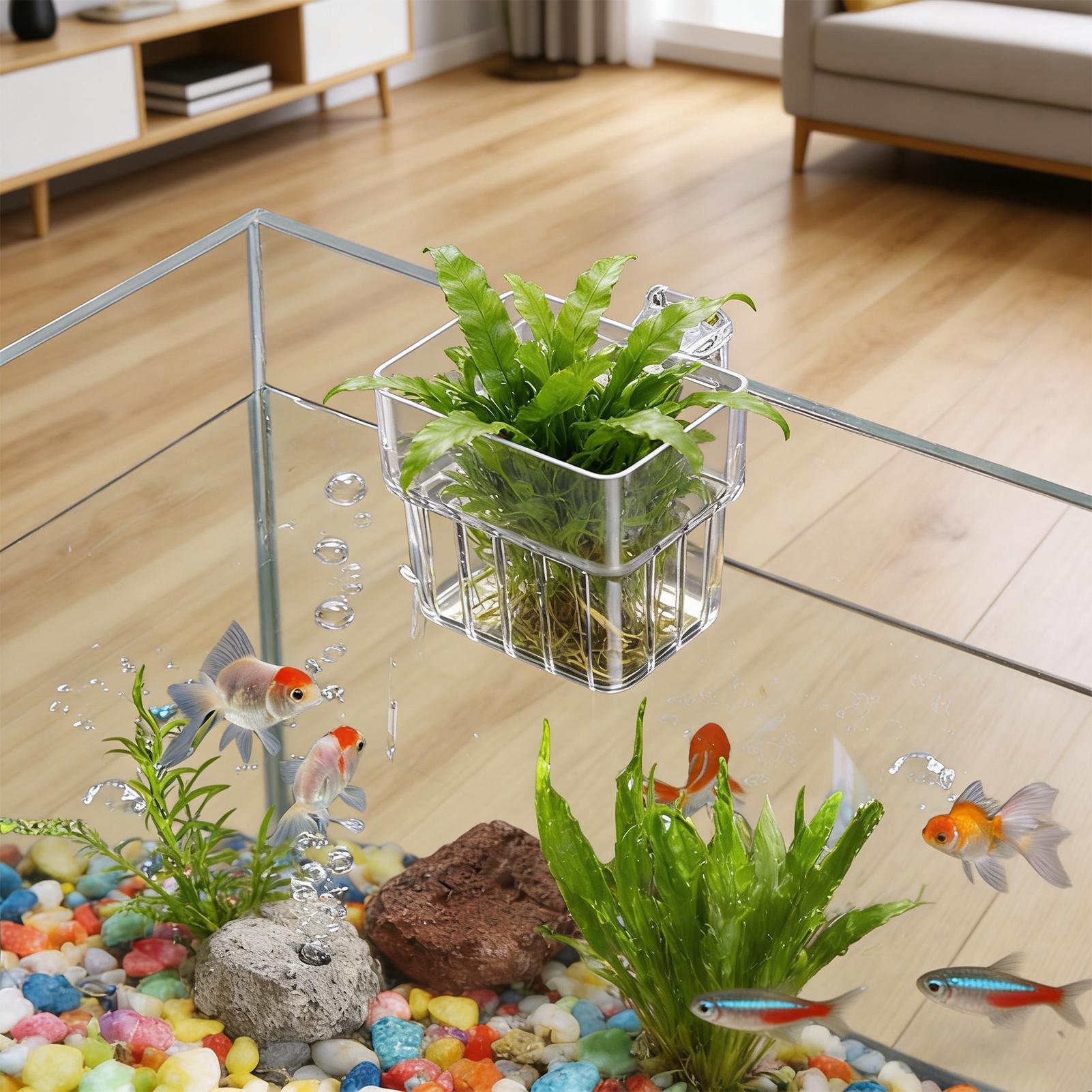 حامل شفاف قابل للتعليق لأحواض  - مراجعة Plant Aquarium Pot وسعره
