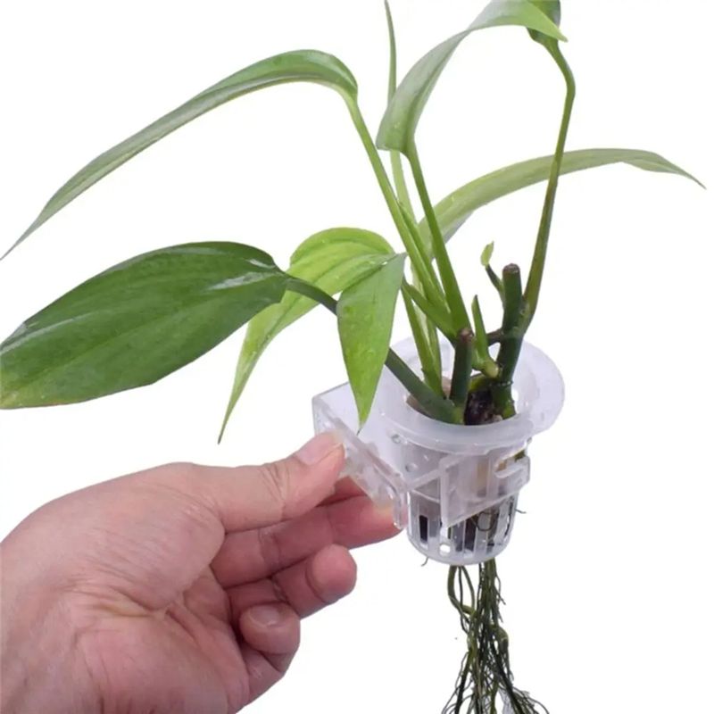 A7THK-قطعتان من حاملات النباتا - مراجعة Aquarium Plant Holder وسعره
