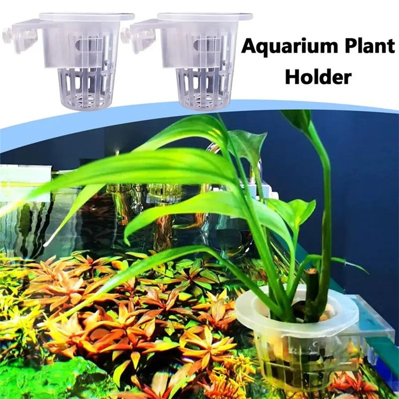 A7THK-قطعتان من حاملات النباتا - مراجعة Aquarium Plant Holder وسعره