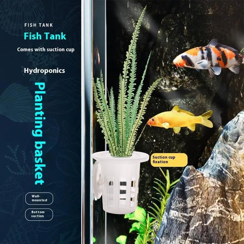 10/20/30 قطعة من أكواب زراعة ا - مراجعة Aquarium Plants Live وسعره