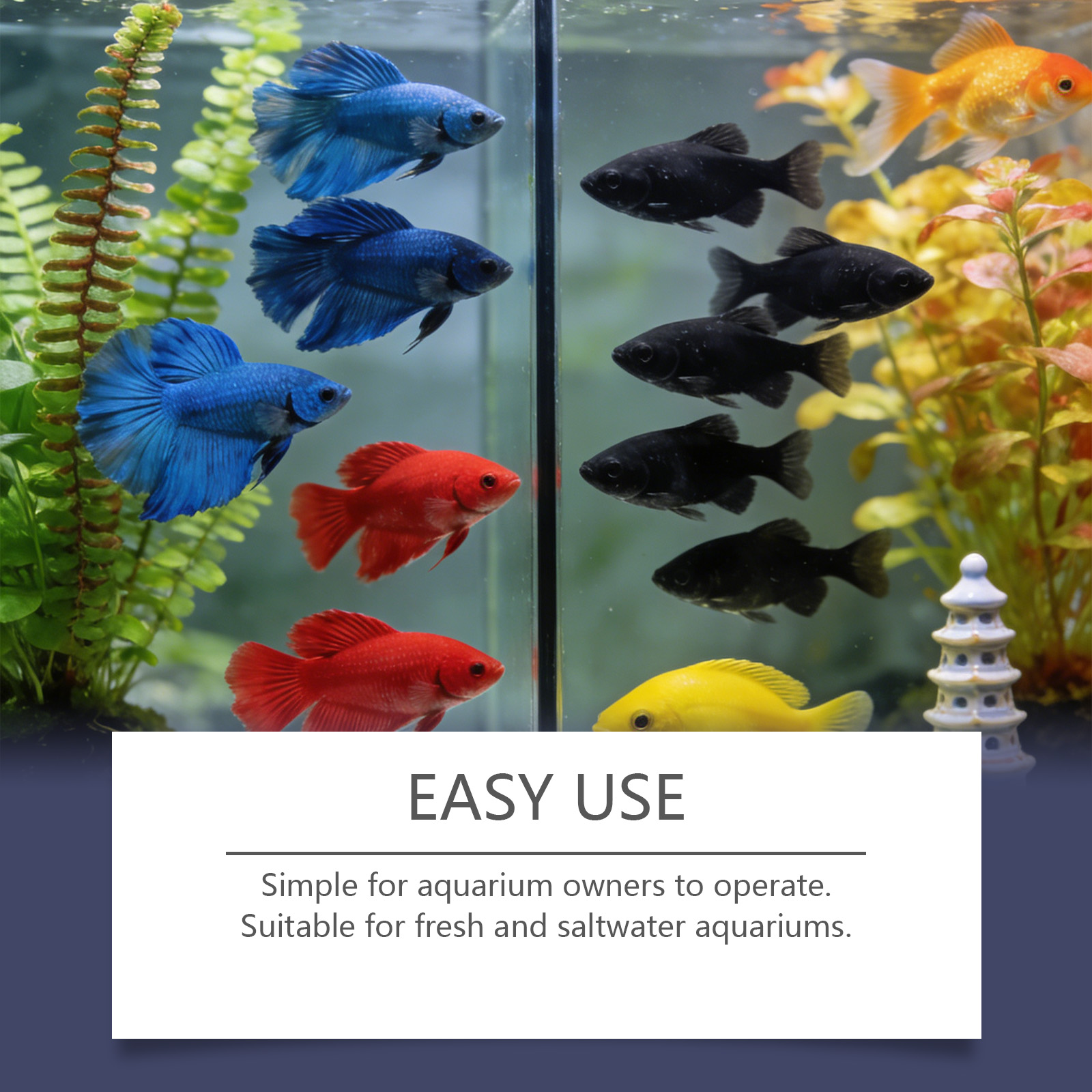 أقراص إزالة الطحالب لأحواض الس - مراجعة Planted Aquarium Algae Control وسعره