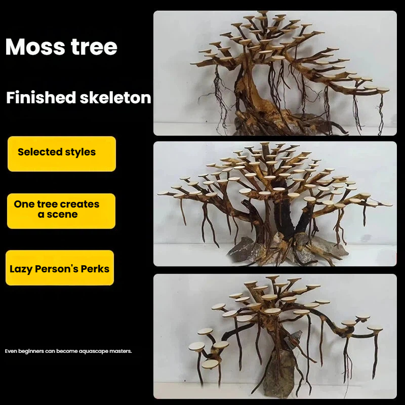 زينة حوض السمك: شجرة طحلب، هيك - مراجعة Aquarium Driftwood وسعره